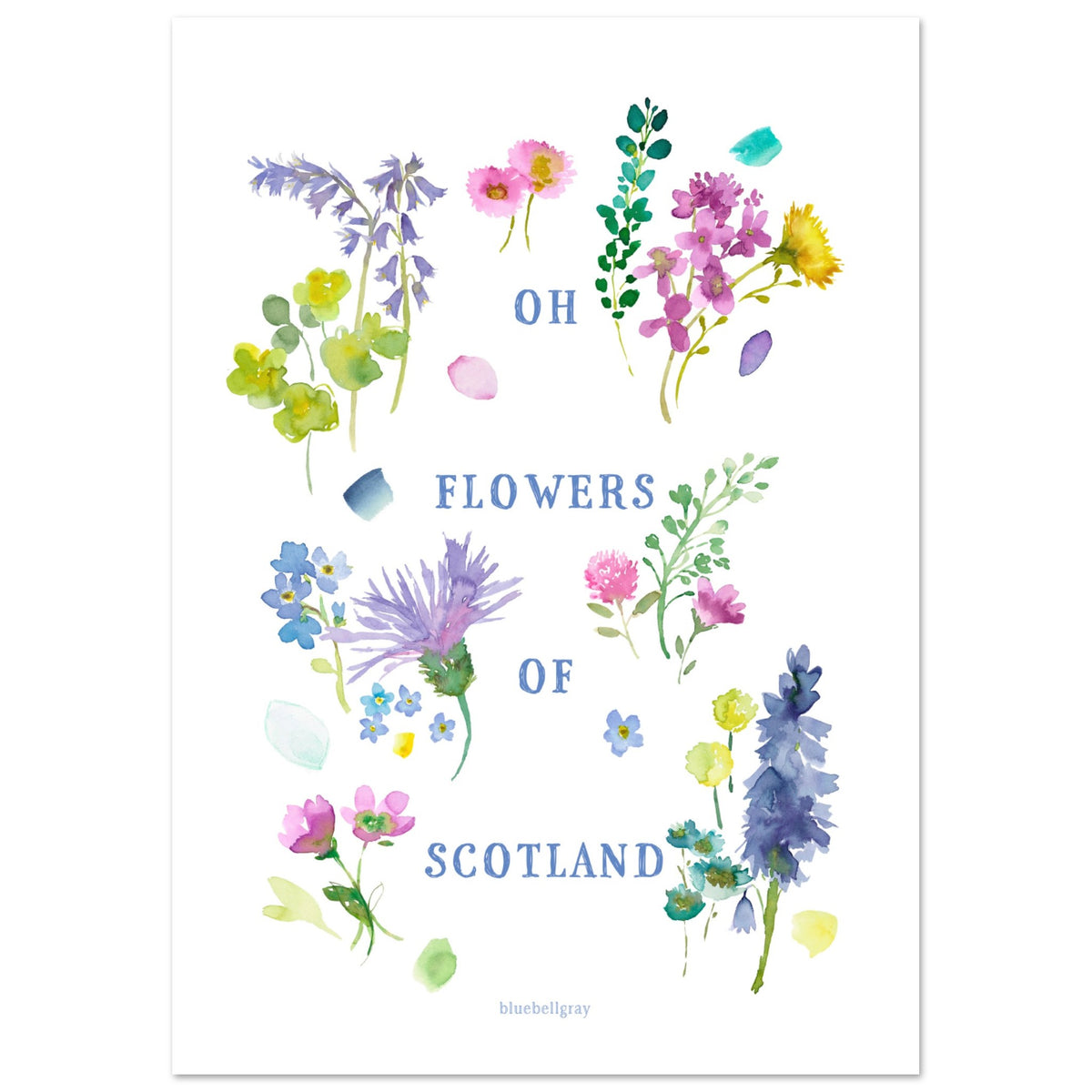 Oh Flowers Of Scotland Art Print Bluebellgray