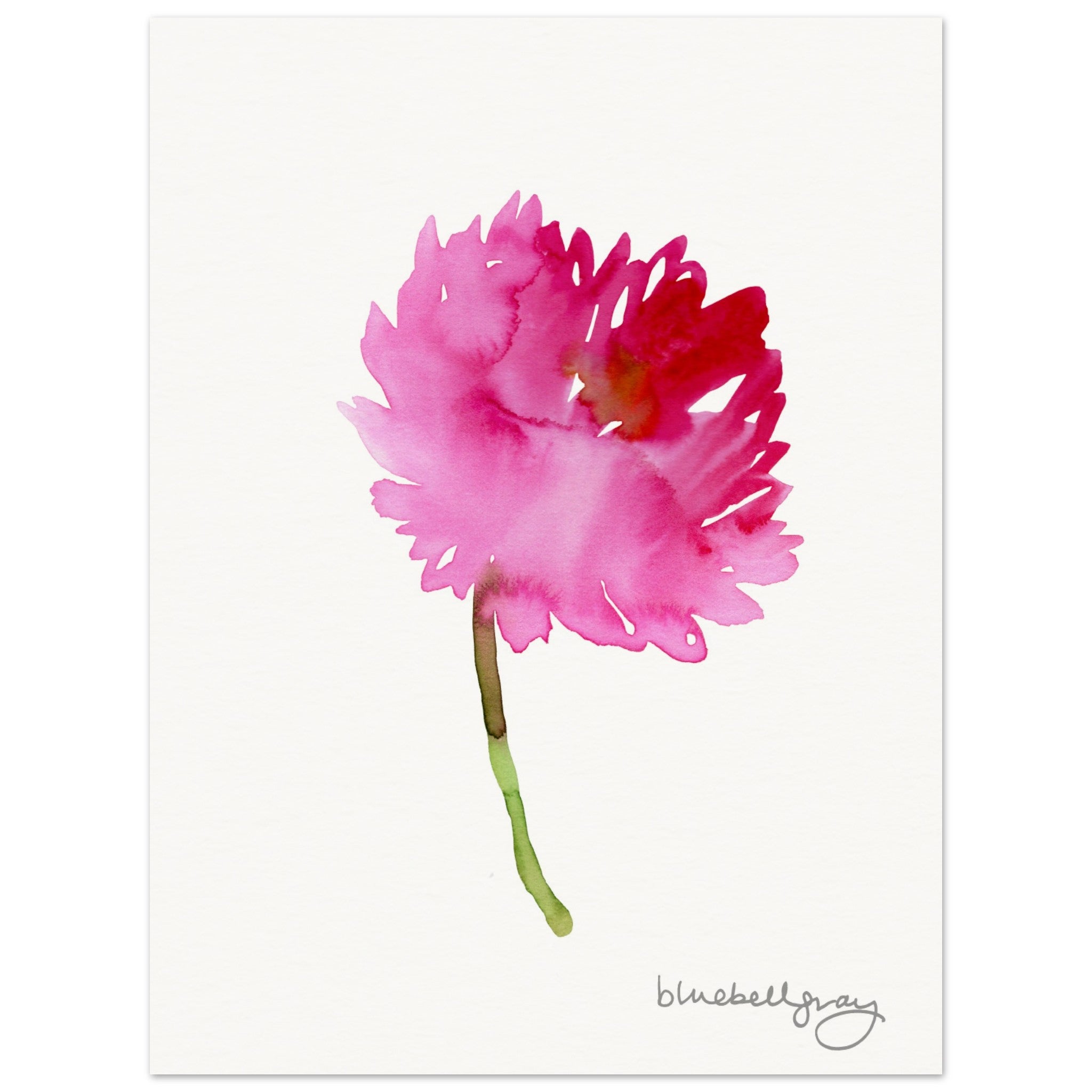 絵画　Dahlia Dahlias Deep Red I - Framed 59cm x 49cm – Emily Stirk