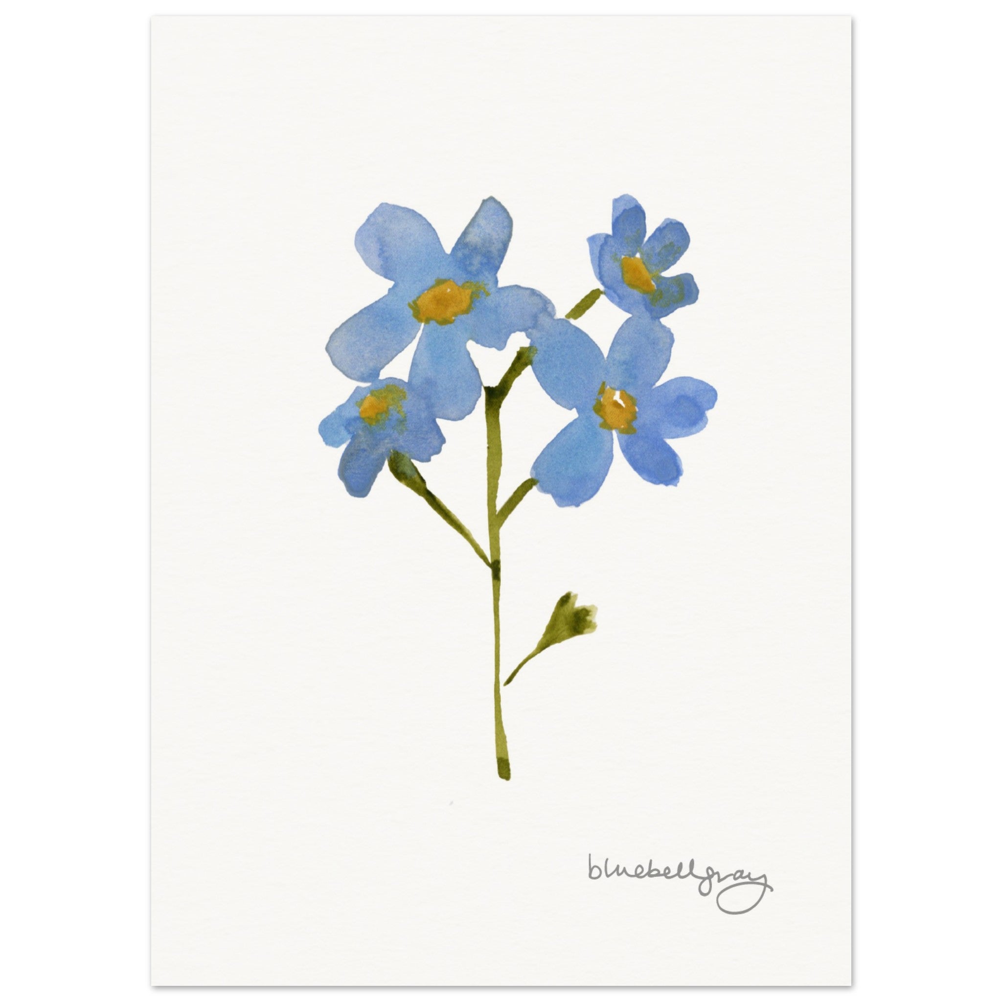 Forget Me Not Art Print – Bluebellgray